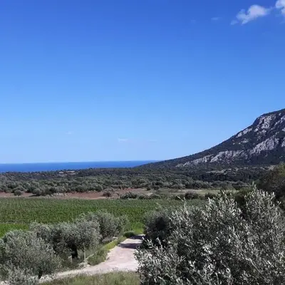 Agriturismo Su Barcu