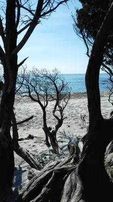 Paesaggio naturale nelle vicinanze dell'appartamento