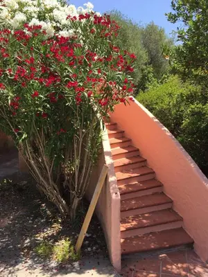 Giardino di Il Fenicottero Rosa