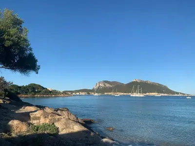 Paesaggio naturale nelle vicinanze dell'affittacamere