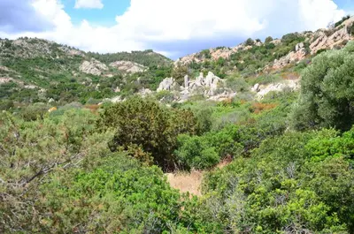 Paesaggio naturale nelle vicinanze dell'appartamento