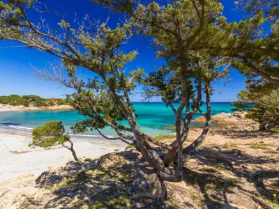 Paesaggio naturale nelle vicinanze dell'appartamento