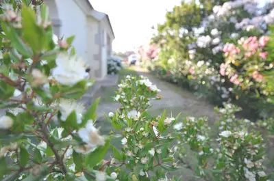 Giardino di Villette Via Carbonia
