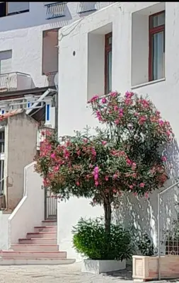 Edificio in cui si trova la casa vacanze