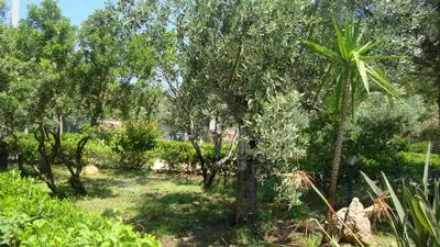 Giardino di Villa Su Navru
