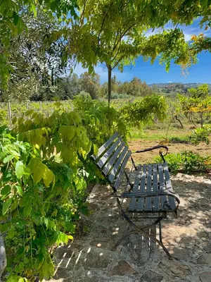Paesaggio naturale nelle vicinanze della casa vacanze