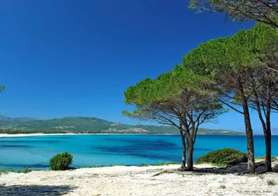 Paesaggio naturale nelle vicinanze dell'appartamento