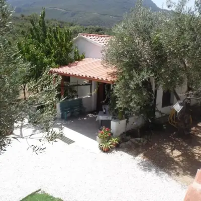Villa L'Oliveto