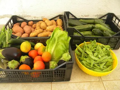 Cibo presso l'agriturismo o nelle vicinanze