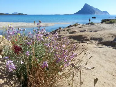 Paesaggio naturale nelle vicinanze della casa vacanze