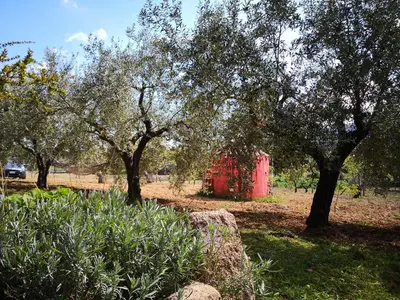 Giardino di Villa Walter