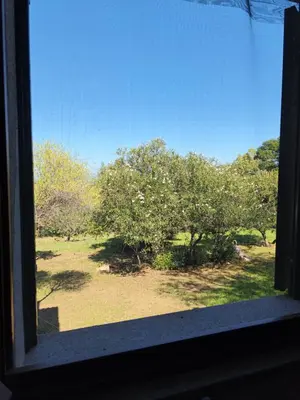 Giardino di Villa vista mare