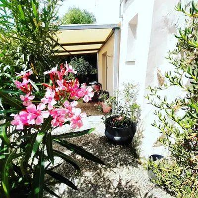 Giardino di sole e sale 2