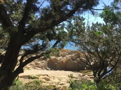 Paesaggio naturale nelle vicinanze della casa vacanze