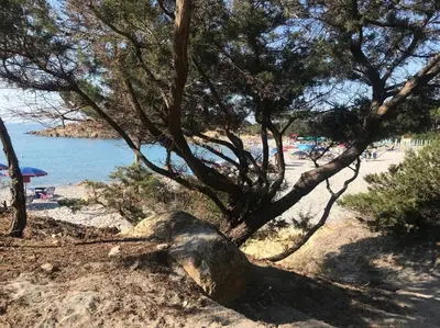 Paesaggio naturale nelle vicinanze della casa vacanze