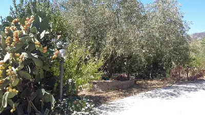 Paesaggio naturale nelle vicinanze dell'affittacamere