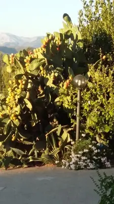 Paesaggio naturale nelle vicinanze dell'affittacamere