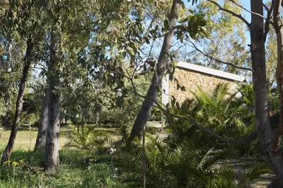 Giardino di Casa Su Catreathu