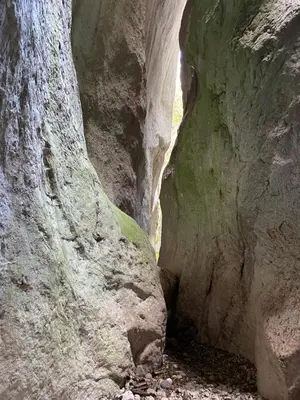 Paesaggio naturale nelle vicinanze dell'appartamento