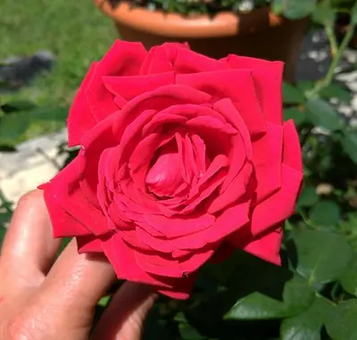 Planimetria di Gemma Di Gallura Charme B&B