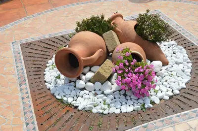 Giardino di Hotel La Palma