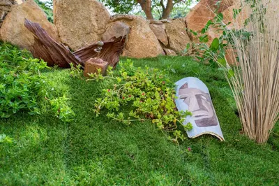 Giardino di Affittacamere L ' Oasi di Gino