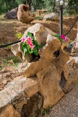 Giardino di Affittacamere L ' Oasi di Gino