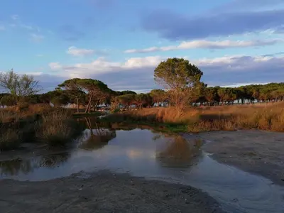 Paesaggio naturale nelle vicinanze della casa vacanze
