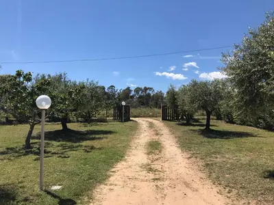 Paesaggio naturale nelle vicinanze della villa
