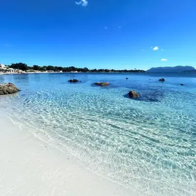 Sea Love