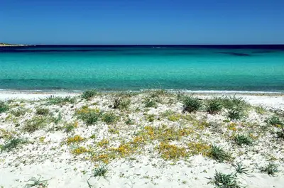 Paesaggio naturale nelle vicinanze della casa vacanze