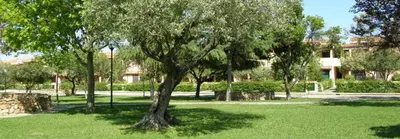 Giardino di Bilocale al Villaggio degli ulivi SAN TEODORO