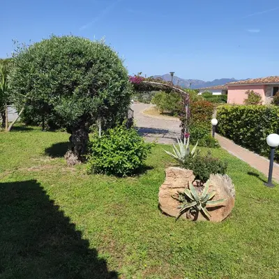 Giardino di VILLA A 200 METRI DALLA SPIAGGIA