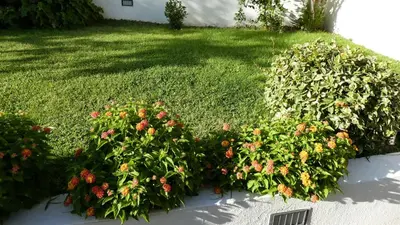 Giardino di B&B Oliena