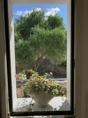 Giardino di B&B Somiar