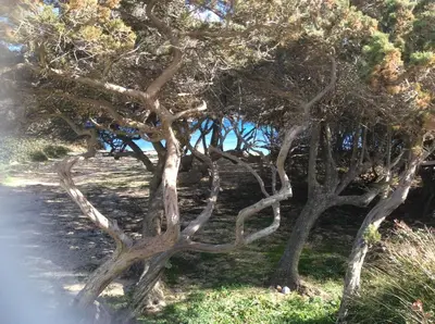 Paesaggio naturale nelle vicinanze dell'appartamento