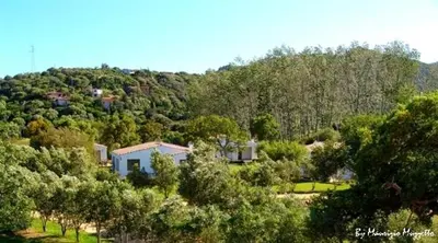 Paesaggio naturale nelle vicinanze of country house