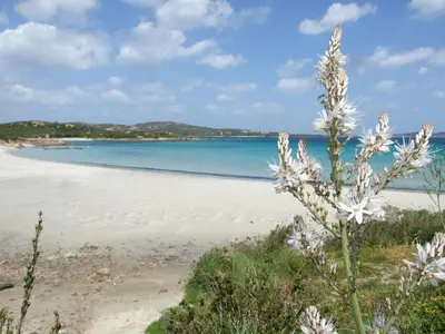 Paesaggio naturale nelle vicinanze della casa vacanze