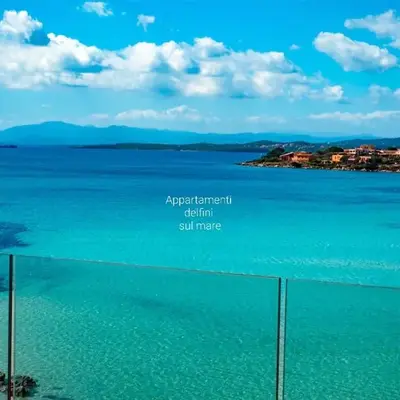 Appartamento delfini sul mare