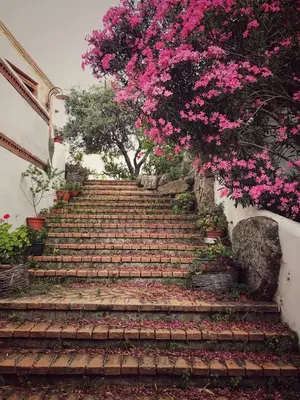 Giardino di Locanda Tipica Sa Corte