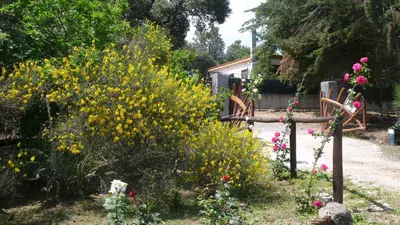 Giardino di Casa Solotti
