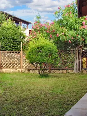 Giardino di Charming house with terrace & garden - Loiri Porto San Paolo
