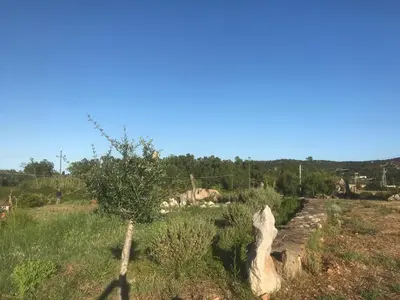 Paesaggio naturale nelle vicinanze dell'appartamento