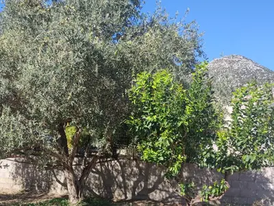 Paesaggio naturale nelle vicinanze della casa vacanze
