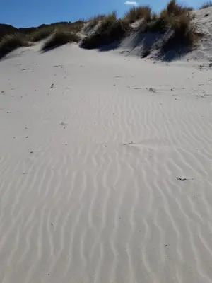 Paesaggio naturale nelle vicinanze dell'appartamento