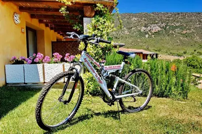 Attività di ciclismo presso il bed & breakfast o nelle vicinanze