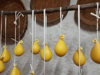 Planimetria di Agriturismo Orvile