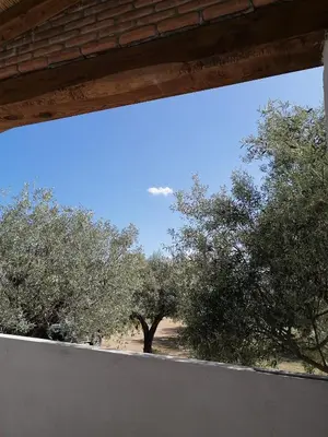 Planimetria di Agriturismo 