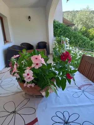 Giardino di Domo de Mare