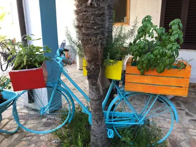 Giardino di Villa Dessena Guest House